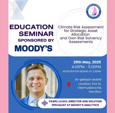 Climate Risk Assessment for Strategic Asset Allocation and Own Risk Solvency Assessments